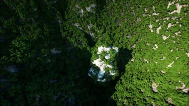 Dağ kayalıklarla ağaçları ile. Hava kamera görüntüleri. Fantezi manzara.
