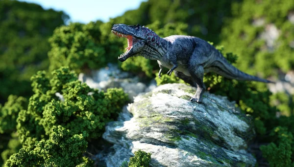 A Tyrannosaurus Rex a sziklás sziklák. őskori jellegét. 3D-leképezés. — Stock Fotó