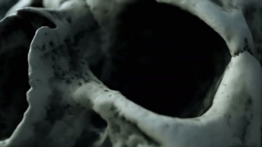 Antik kafatası. Kıyamet kavramı. Süper gerçekçi 4k animasyon.