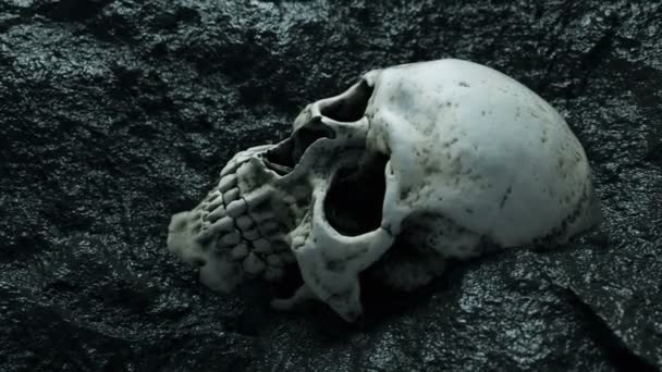 古代の人間の頭蓋骨。黙示録のコンセプトです。スーパー 4 k のリアルなアニメーション. — ストック動画