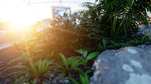 Planta no espaço sci-fi laboratório. Vida em Marte, planeta alienígena. Renderização 3d . — Fotografia de Stock