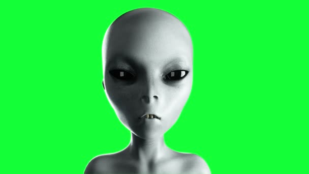 Alien praten. Close-up. UFO. Groen scherm 4k-beeldmateriaal. — Stockvideo