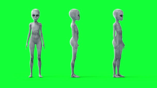 Un alieno che parla. 3 in 1. UFO. Schermo verde 4k filmati — Video Stock