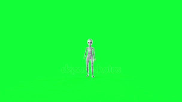 Alien chodí. realistické 4k zelené obrazovky animace.