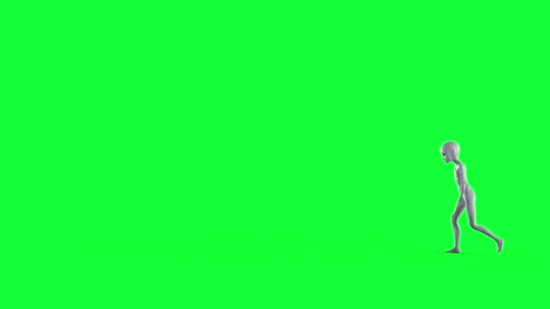 Alien anda. animação tela verde 4k realista . — Vídeo de Stock