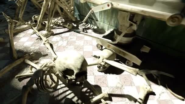 Ijesztő csontváz a régi Kórház, hullaházban. Apokalipszis horror koncepció. Realista filmszerű 4k animáció. — Stock videók