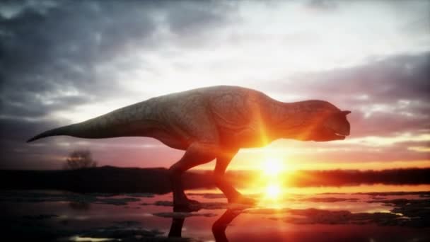 Dinossauro. Período pré-histórico, paisagem rochosa. Maravilhoso nascer do sol. Animação 4K realista . — Vídeo de Stock