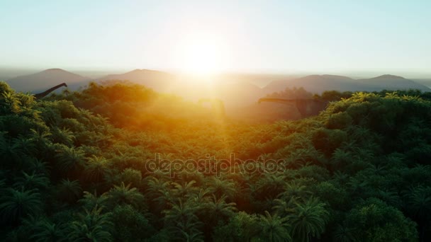 Mountain, field landscape with dinosaurs. Palm trees. Aerial view. Jungle. Realistic 4k animation . — Stock Video
