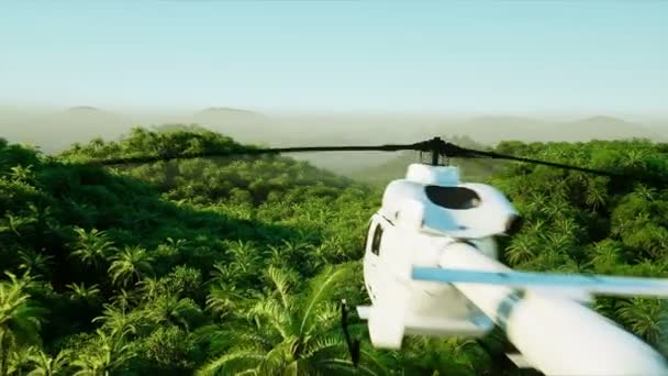 Гора, полевой пейзаж с летающим вертолетом. Пальмы. Экспедиция в джунгли. Вид с воздуха. Реалистичная анимация 4k  . — стоковое видео