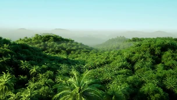 Hegyi, pálmafákkal tarkított területen táj. Dzsungel. Reális 4 k animáció. Légifelvételek. — Stock videók