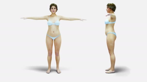 Mulheres gordas 3d. Processo de emagrecimento e obesidade. Dieta e conceito de saúde. Isola. Renderização 3D realista . — Vídeo de Stock