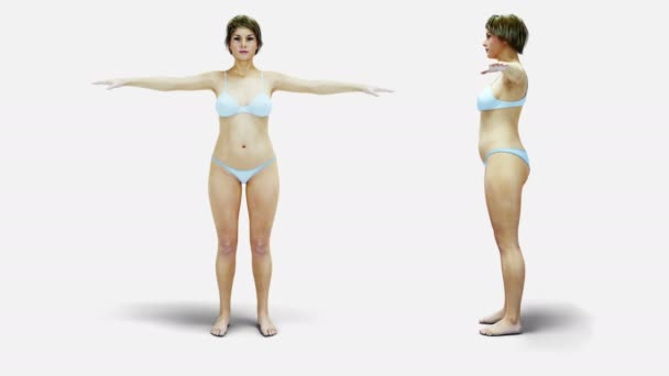 Dicke Frauen. Schlankheits- und Adipositas-Prozess. Ernährungs- und Gesundheitskonzept. isoliert. realistische 3D-Darstellung.