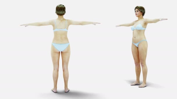 Tlusté ženy 3d. Hubnutí a obezita procesu. Koncept stravy a zdraví. Izolujte. Realistický 3d vykreslování. — Stock video