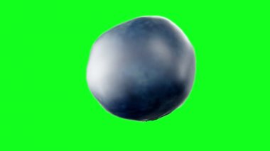 Taze yaban mersini yeşil ekranda döndürün. Meyve arka plan.