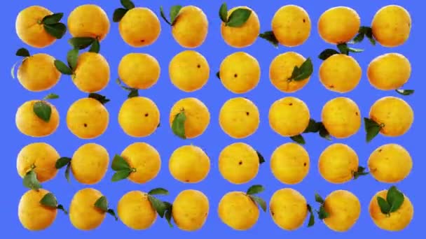Oranžová s vodou kapky otočit na zelené obrazovce. Ovoce pozadí. — Stock video