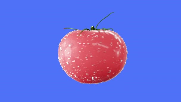 Tomaten mit Wassertropfen rotieren auf dem grünen Bildschirm. Hintergrund der Früchte. — Stockvideo