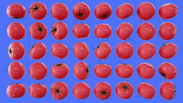 水滴とトマトは緑色の画面で回転します。果物背景. — ストック動画