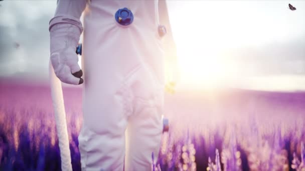 Astronaut mit Schmetterlingen im Lavendelfeld. Zukunftskonzept. Sendung. realistische 4k-Animation. — Stockvideo