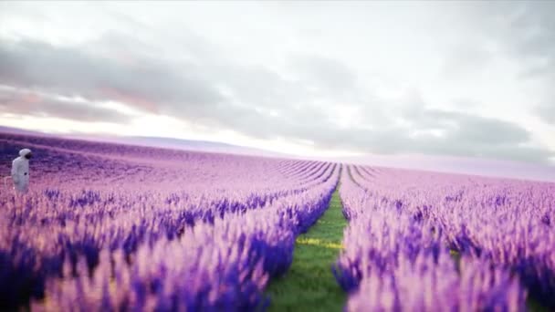 Astronaut with butterflies in lavender field. concept of future. broadcast. Realistic 4k animation. — Stock Video