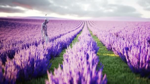 Alieno con farfalle in campo lavanda. concetto di UFO. Animazione realistica 4k . — Video Stock