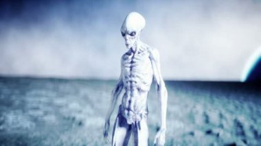 Gezegendeki uzaylı, ay. Amaç dünyada. UFO. Gerçekçi hareket ve Shader. 4 k animasyon.