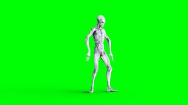 Komik yabancı dans eden hip hop. Gerçekçi hareket ve cilt Shader. 4 k yeşil ekran görüntüleri.