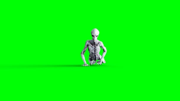 Αλλοδαπός που σέρνεται. Ρεαλιστική κίνηση και δέρμα shaders. 4 k πλάνα πράσινη οθόνη. — Αρχείο Βίντεο