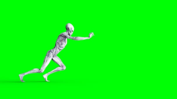 Un extraterrestre pousse. Mouvement réaliste et teintes de peau. Images d'écran vert 4K . — Video