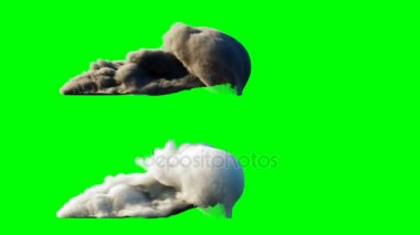 Roket izole başlatın. Yeşil ekran. Gerçekçi 4 k animasyon.