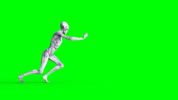 Alienígena isolada no ecrã verde. Conceito de OVNI. Renderização 3D realista . — Fotografia de Stock