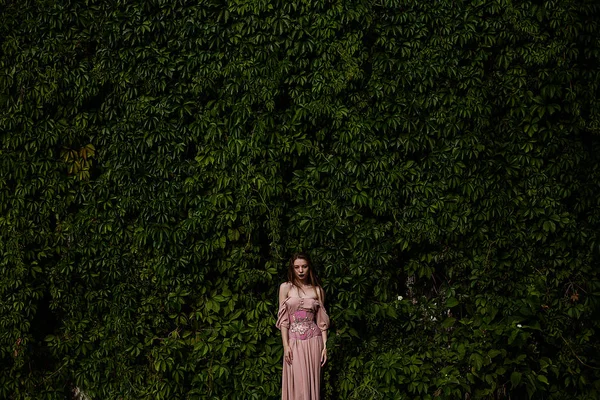 파스텔 핑크 드레스와 코르 셋과 꽃 emboidery 아름 다운 여자의 초상화 — 스톡 사진