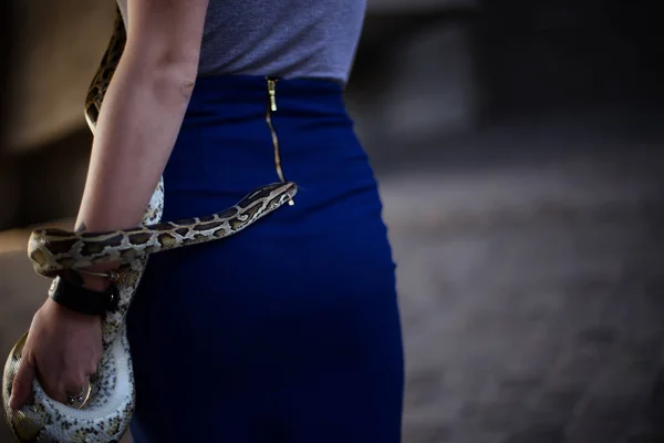 Retrato de estilo de vida de chica pelirroja con estilo de pelo creativo sosteniendo serpiente grande —  Fotos de Stock