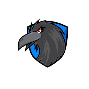 Karga kafasına mavi kalkan