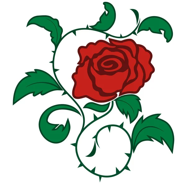 Vecteur rose épineux — Image vectorielle