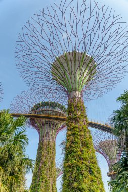 bahçede ünlü Supertrees