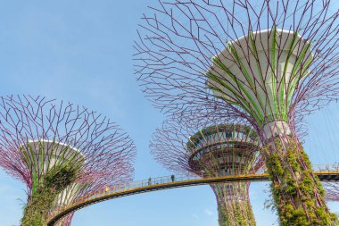 bahçede ünlü Supertrees