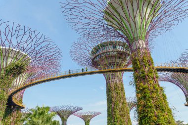 bahçede ünlü Supertrees