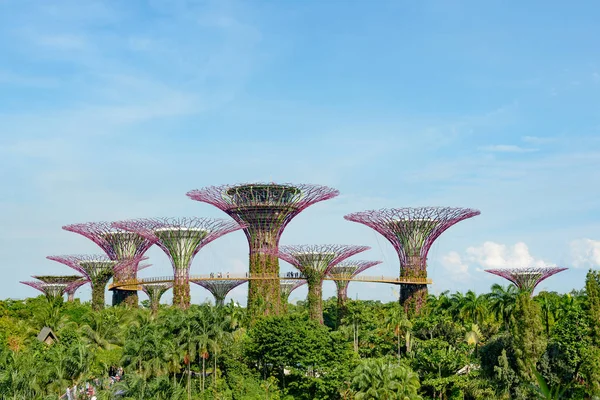 Famous Supertrees in garden — Stock Photo, Image