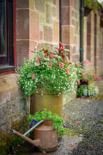 Vattenkanna och kruka med blommor i trädgården — Stockfoto