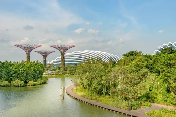 Singapura Supertrees edifícios — Fotografia de Stock