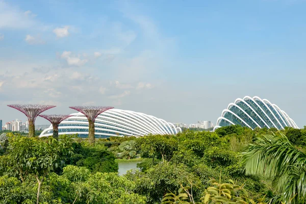 Singapura Supertrees edifícios — Fotografia de Stock