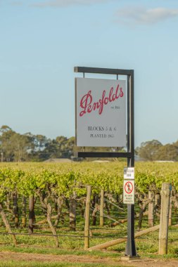 Coonawarra Leconfield bağ