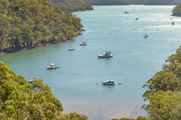 View from America Bay Track