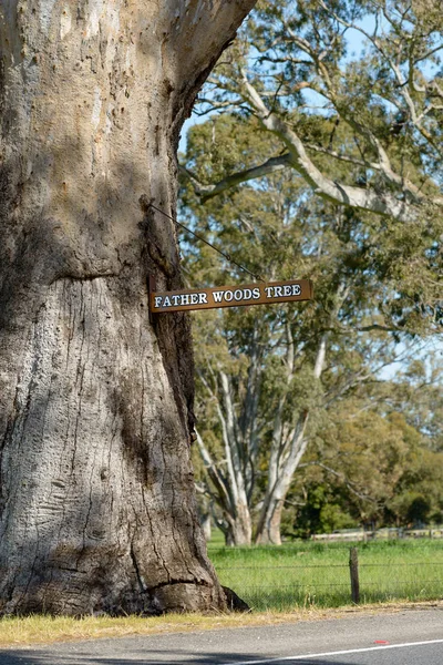 Babası Woods Park işareti — Stok fotoğraf