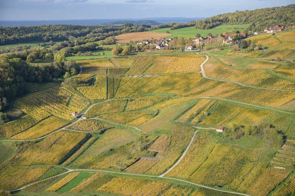 Vigneti Vicino Chateau Chalon Departement Jura Franche Comte Francia — Foto Stock