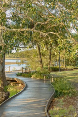 Queensland, Avustralya 'da yemyeşil bir sahil şeridinde tahta bir yürüyüş..