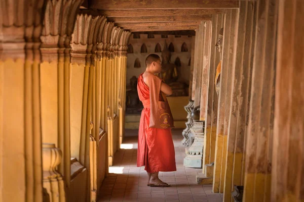 Vientiane Vagyok Laosz 2019 Február Egy Magányos Szerzetes Tanulmányozza Buddha — Stock Fotó