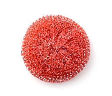 Sünger tabağı beyaza izole edildi