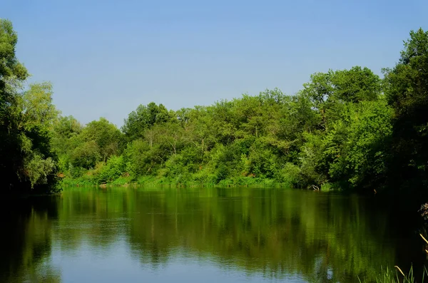 Yaz, ormandaki nehir