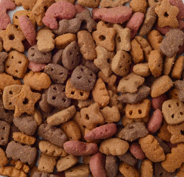 Comida seca para gatos como fondo —  Fotos de Stock